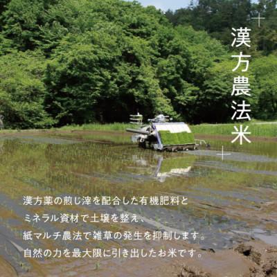 ふるさと納税 天栄村 「満天」漢方農法米 コシヒカリ 5kg |  | 01