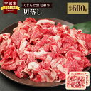 【ふるさと納税】くまもと黒毛和牛 切落し 合計600g (300g×2パック) 牛肉 牛 和牛 黒毛和牛 冷凍 熊本県産 九州産 国産 送料無料