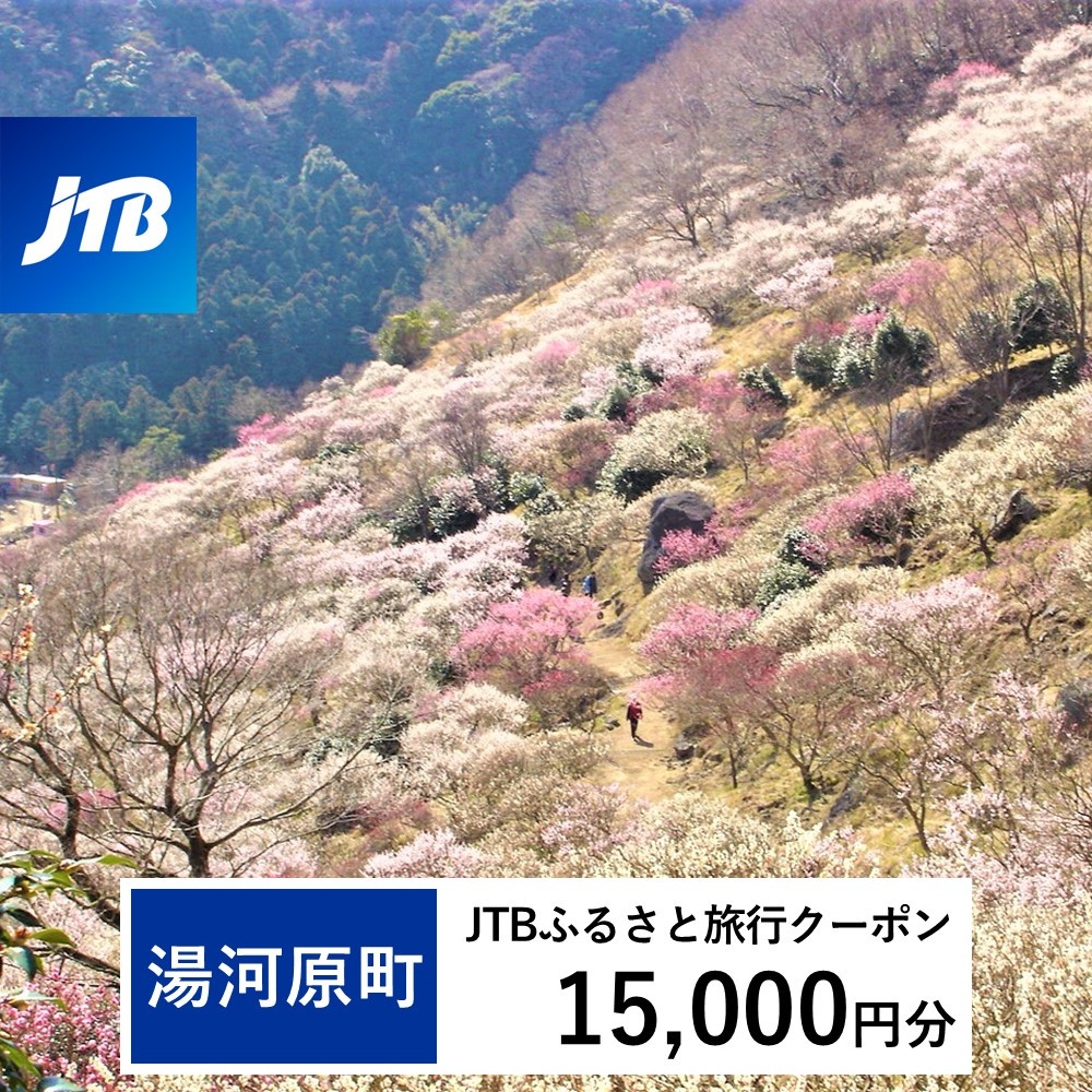【湯河原町】JTBふるさと旅行クーポン（15,000円分） 有効期間3年（Eメール発行）｜旅行 トラベル 予約 国内旅行 JTB 宿泊 観光 体験 旅行券 宿泊券 旅行予約 温泉 ホテル 旅館 チケット 子供 子連れ カップル 家族 人気 おすすめ 旅行クーポン 店頭 オンライン ネット予約 電話 有効期間3年
