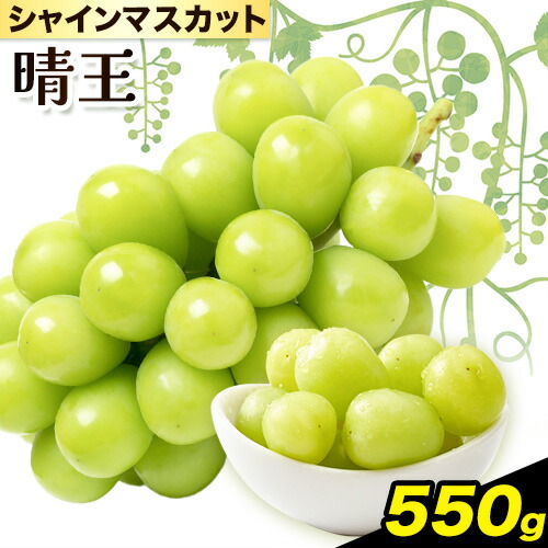 ぶどう [2026年先行予約] シャインマスカット 晴王 550g《2026年9月中旬-10月中旬頃出荷》晴レ乃青果　(岡山中央卸売市場店(富士紙工 有限会社)) マスカット 送料無料 岡山県 浅口市 フルーツ 果物 贈り物 ギフト 国産 【配送不可地域あり】