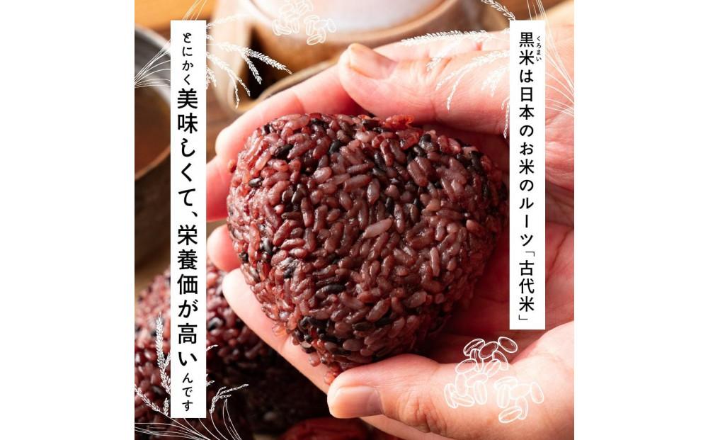 【3ヶ月定期便】国産黒米(450g×2袋)【合計2700g 全6袋】