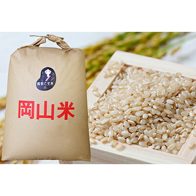 【ふるさと納税】米 令和7年産 石原果樹園の備前乙女米 玄米 30kg×1袋 ※11月上旬～順次発送予定 お米 ライス 乳酸菌栽培 岡山県 おにぎり お弁当　お届け：11月上旬～順次発送予定