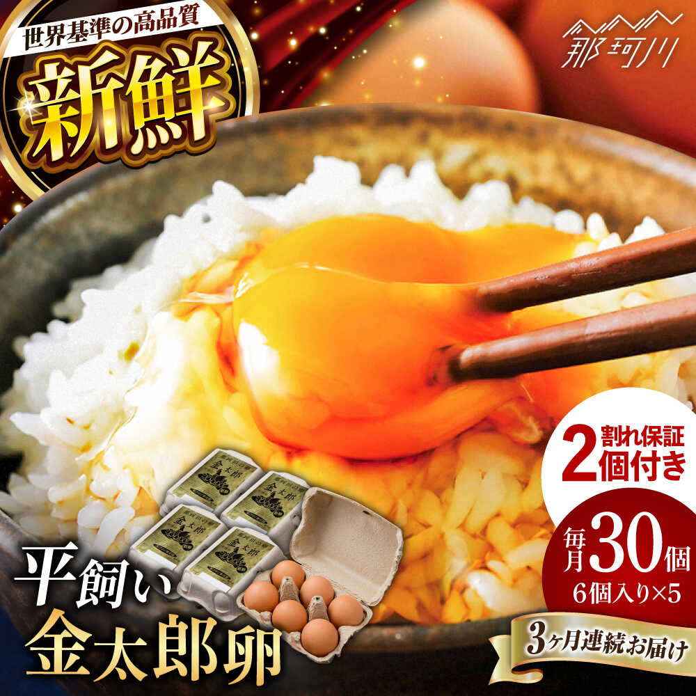 【ふるさと納税】【TVで紹介！】【全3回定期便】鮮度AA級の世界最高ランク！金太郎卵 平飼い たまご 30個（6個×5パック）＜有限会社 フジノ香花園＞那珂川市 | 父の日 定期便 卵 たまご 平飼い 定期便 卵かけご飯[GAM017] 40000 40000円 4万円 以上