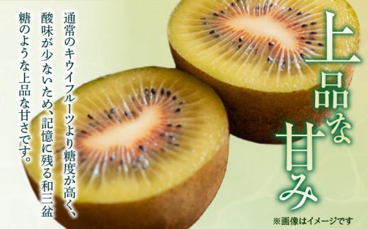 さぬきエンジェルスイート 約2.2kg【2025年11月中旬～2026年1月中旬配送】