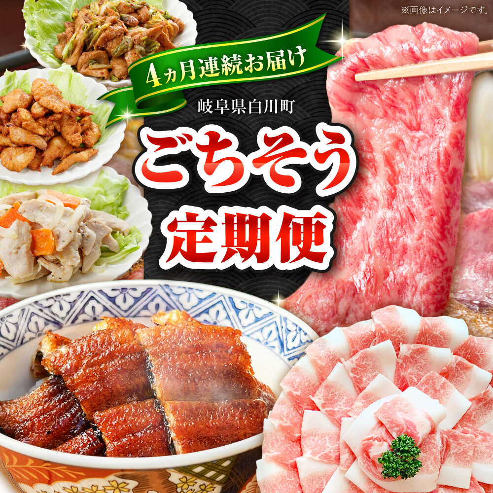 【ふるさと納税】【4回定期便】 白川のごちそうお届け定期便 飛騨牛 豚肉 鶏ちゃん うなぎ 定期便 / 白川町[AWCE012]