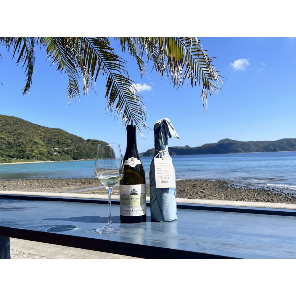 【ふるさと納税】tlass SEA CELLAR -2025 2nd Edition- 海底熟成前後飲み比べ白ワイン 750ml×2本