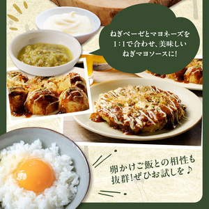 京都山城のねぎ ねぎベーゼ 100g 九条ねぎ 京野菜 ネギジェノベーゼ 緑黄色野菜 ジェノベーゼ 調味料 ソース パスタ 料理 簡単 じぇのべーぜ 青ねぎ 葱 簡単 ネギ ジェノベーゼ 緑黄色野菜 