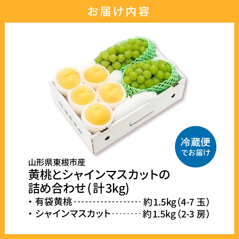 【2026年】東根市産 有袋黄桃（品種おまかせ）＆シャインマスカット 詰め合わせ 3kg 秀品 化粧箱入り 山形県 東根市 hi027-239