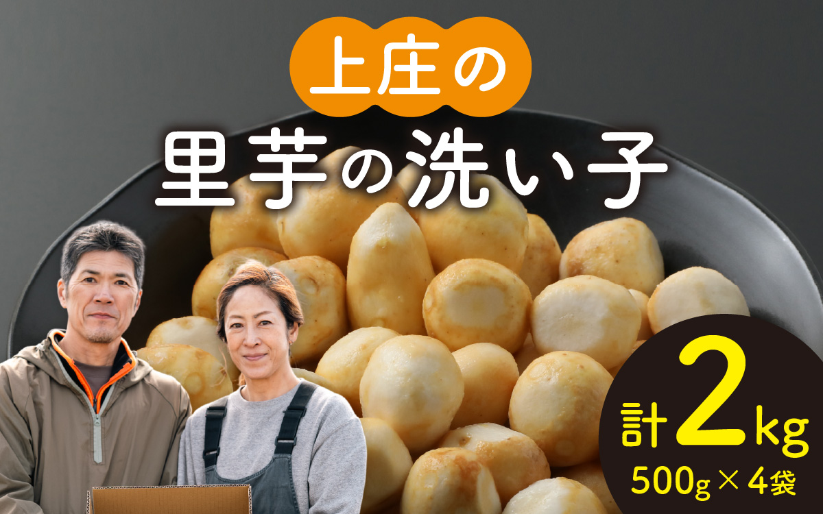 【先行予約】皮むきいらず、煮っ転がしに最適！上庄の里芋の洗い子【冷凍】計2kg【10月中旬より順次発送】