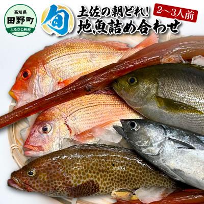 ふるさと納税 田野町 【ふるさと納税】〜四国一小さなまち〜 土佐の朝どれ「旬」地魚詰め合わせ(2〜3人前)