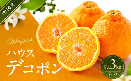 デコポン ハウスデコポン 柑橘 デコポン【約3kg】