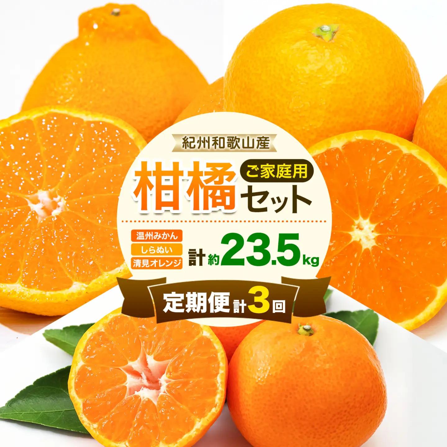 紀州 和歌山産 旬の ご家庭用 柑橘 セット L  (みかん 不知火 清見)【全３回】 株式会社魚鶴