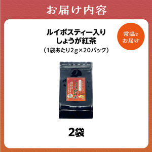 しょうが紅茶（ルイボスティー入） 2袋 香楽園製茶 健康茶 茶葉 ティーバッグ 031-27