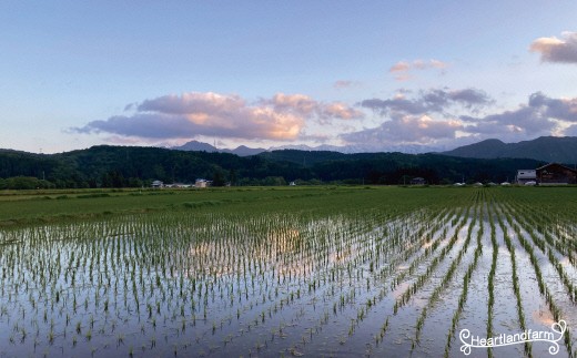 【令和８年産米 先行予約】山形県小国町産 つや姫5kg　小国地産