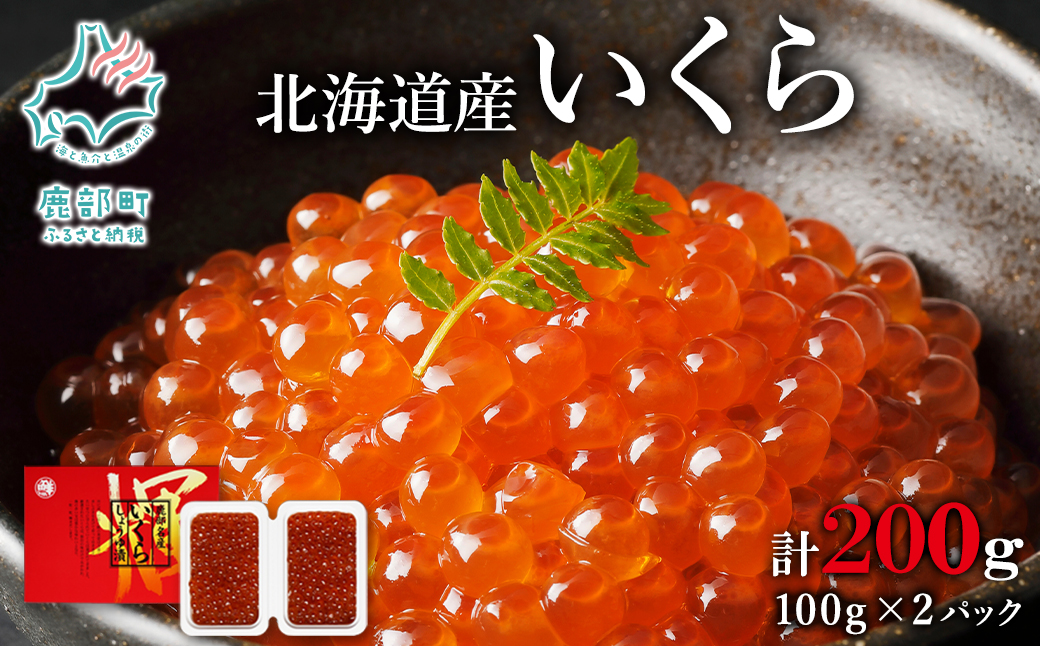 【小分けで便利！】北海道産 いくら 醤油漬け 100g×2 計 200g 鮭 丸鮮道場水産 小分け 魚卵 海産物 食べきり いくら丼 手巻き寿司 ごはんのお供 送料無料 いくら イクラ 醤油いくら