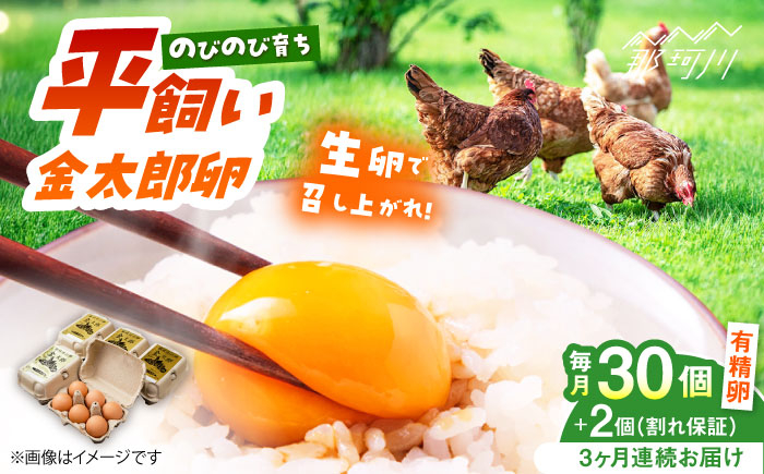 
                  【全3回定期便】【TVで紹介！】鮮度ＡＡ級の世界最高ランク！金太郎卵 平飼い 卵 30個（6個×5パック）＜有限会社 フジノ香花園＞那珂川市 卵 金太郎卵 有精卵 平飼い 平飼い卵 卵 たまご [GAM017]
                