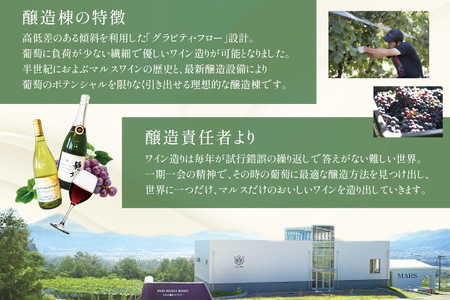 ワイン 白 スパークリング おまかせ  2本セット ソムリエセレクト 日本ワイン ～夏の陣～
