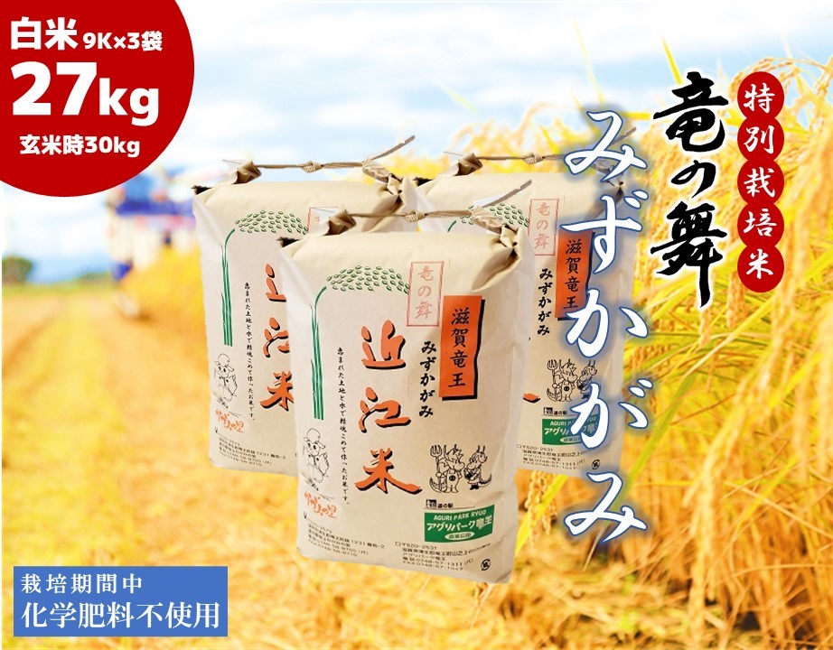 
                  みずかがみ 白米 27kg ( 9kg × 3袋入 ) 2025年産 竜の舞 化学肥料不使用 特別栽培米 玄米 時容量 30kg (10kg × 3袋) 国産 安心 安全 近江米 米 お米 白米 お弁当 玄米 産地直送 滋賀県 竜王町 送料無料
                