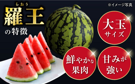 【☆先行予約☆】 スイカ 羅王 1玉（約6kg～7kg）＜ファームまるだ＞ [CDT007] 長崎 西海 スイカ すいか 羅王 大玉 贈答 ギフト 夏