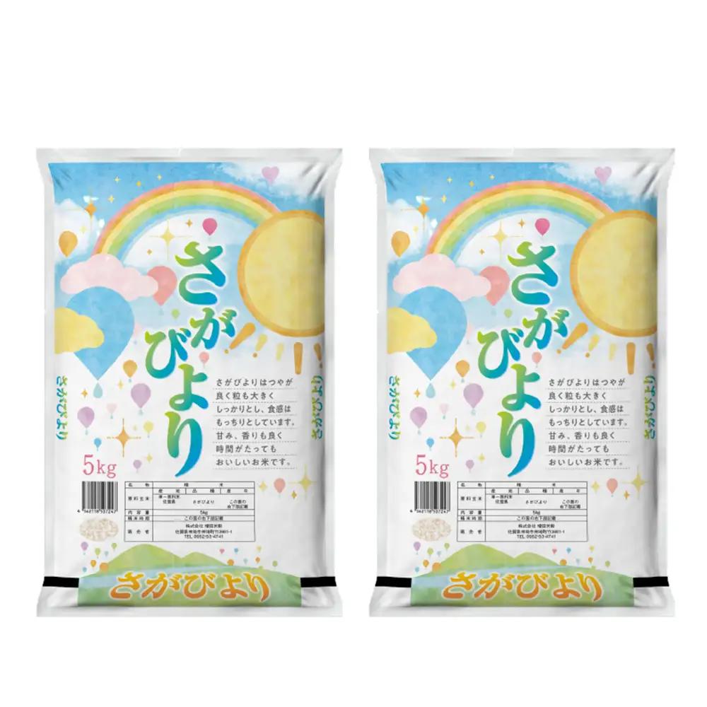 【2回定期便】特別限定セット さがびよりと佐賀牛ハンバーグ おいしいコラボ(H996P129)