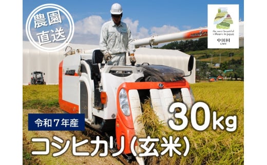 信州産コシヒカリ「富永農園の玄米」30㎏