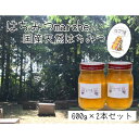 【ふるさと納税】なごやの天然はちみつ瓶600g×2本セット