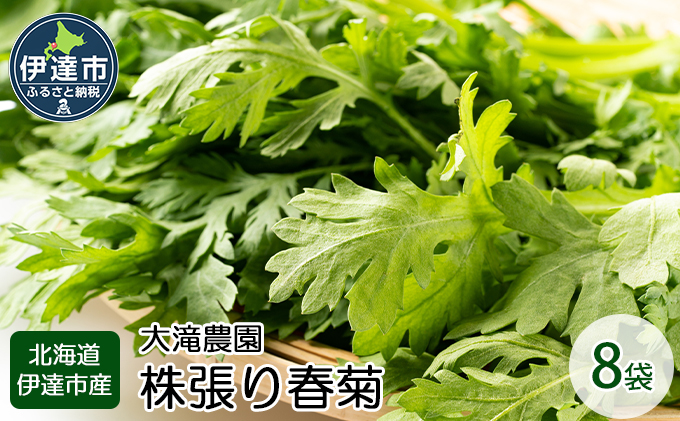 北海道 伊達 大滝農園 株張り 春菊 8袋 野菜 サラダ 鍋 【 オンライン決済限定 】