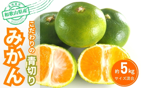みかん 青切りみかん　約5kg【nuk150D】