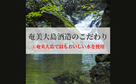 奄美黒糖焼酎 じょうご25度・浜千鳥乃詩30度 1.8L瓶 各3本セット 黒糖 焼酎