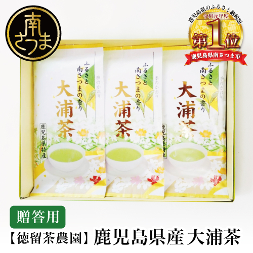 【贈答用】鹿児島県産緑茶 大浦茶 一番茶 3本セット 計300g（100g×3）