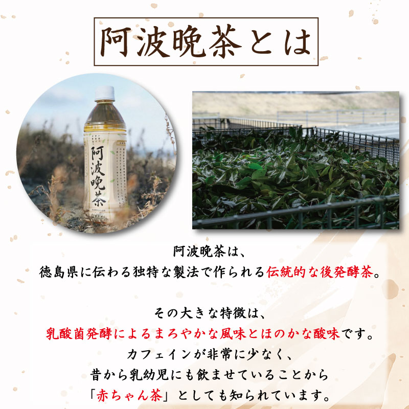 阿波晩茶 ペットボトル 12本 （1本500ml入り） お茶 晩茶 番茶 茶葉 本格 阿波晩茶 100％ 健康茶 発酵 伝統 お土産 阿波 徳島 阿南市 はなぜん