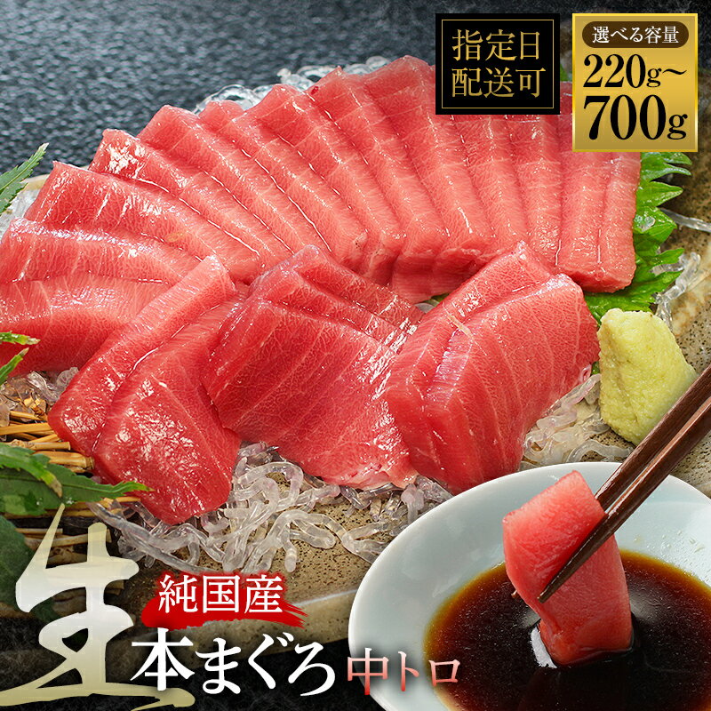 【ふるさと納税】【冷蔵・指定日着可】国産 生本マグロ 中トロ 220g～700g(柵どり) / 送料 無料 福井県 越前市 鮪 未冷凍 生まぐろ 生マグロ 本鮪 中とろ 新鮮 お刺身 おさしみ お造り 切り身 切身 海鮮 海鮮丼 まぐろ丼 漬け 発送時期が選べる(18209)