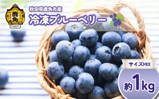 R７年産 冷凍 ブルーベリー 約 1kg サイズMIX 【恋する鹿角カンパニー】ブルーベリー 大玉 小玉 中玉 旬 県産ブルーベリー 栄養 レシピ 国産ブルーベリー お中元 お歳暮 お取り寄せ 母の日 父の日 グルメ ギフト 故郷 秋田 あきた 鹿角市 鹿角 送料無料