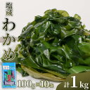 【ふるさと納税】 三陸産 塩蔵わかめ 100g×10パック 計1kg 小分け ワカメ