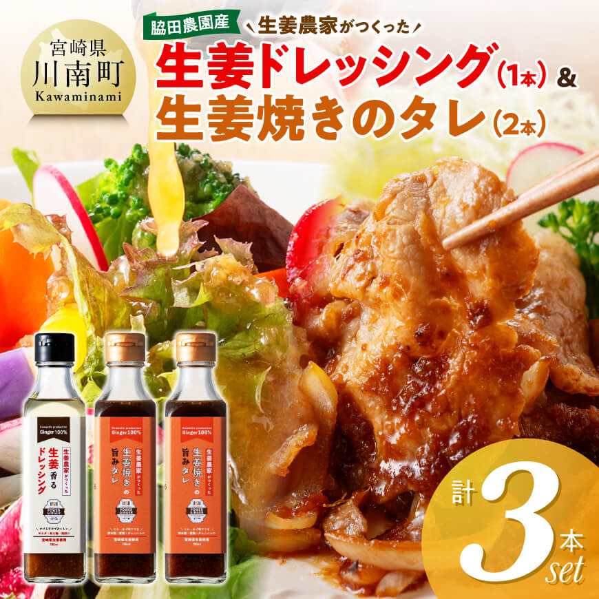 脇田農園産　生姜農家が作った生姜ドレッシング1本＆生姜焼きのタレ2本　計3本セット 生姜 ショウガ 国産 宮崎県産 九州産 川南町産 農家直送 しょうが 生姜焼きのたれ ドレッシング