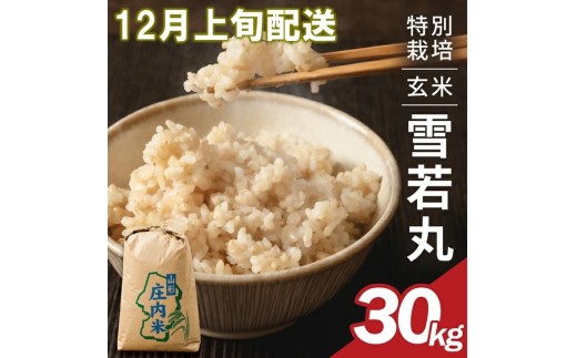 12月上旬配送／令和8年産【玄米】特別栽培米 雪若丸　30kg×1袋〈太ももの会〉 FU SE0626