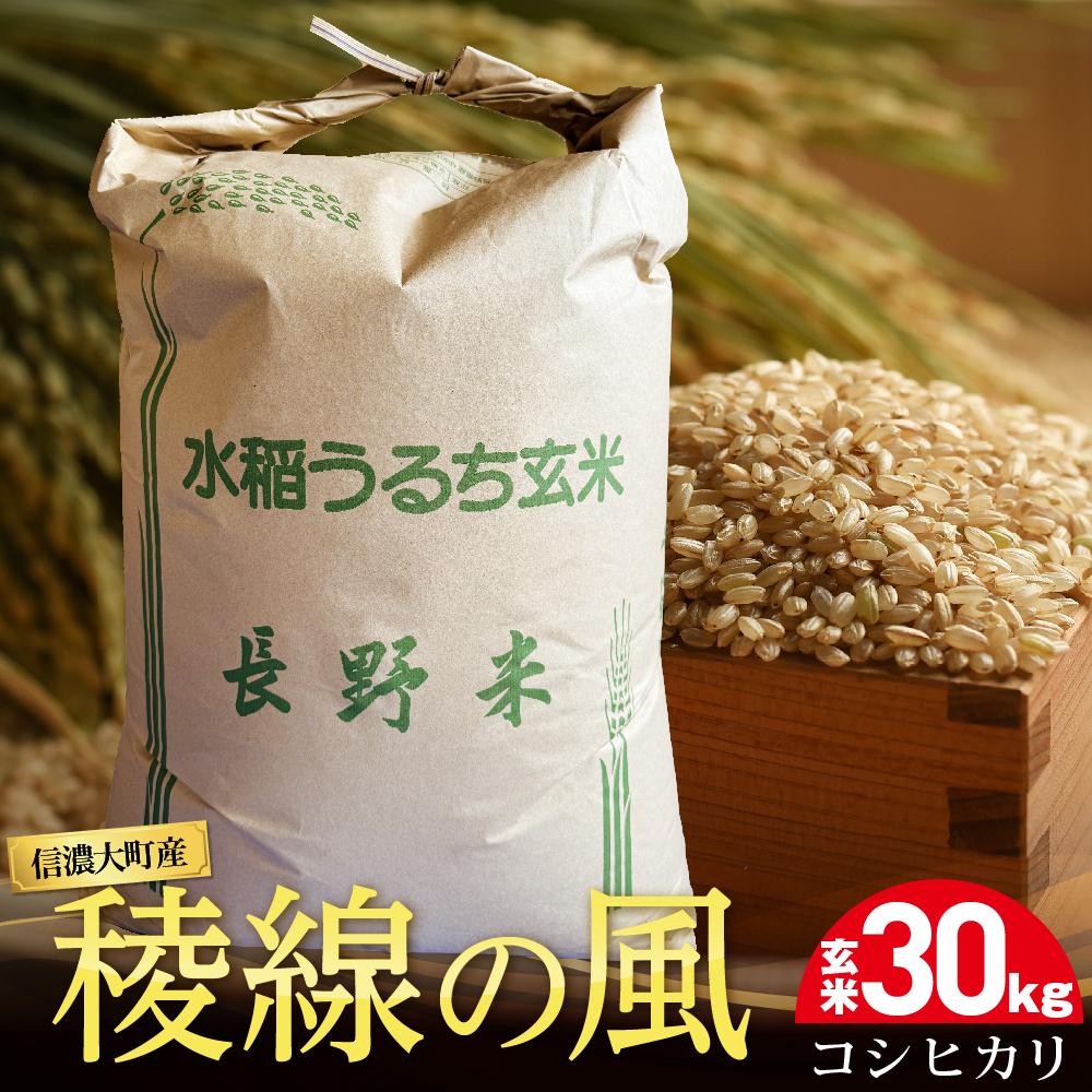 【ふるさと納税】【信濃大町産】稜線の風（コシヒカリ） 玄米30kg