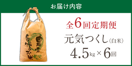 【定期便6回】【令和8年産 新米】福岡県産ブランド米元気つくし 白米 4.5kg×6回 _  元気つくし 4.5kg  お届け回数 6回 定期便 福岡県産 ブランド米 精米 新米 福岡生まれ 品種 香