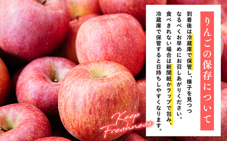 4月発送 訳ありCA貯蔵サンふじ 約5kg  青森県産りんご[hi-0009-010]