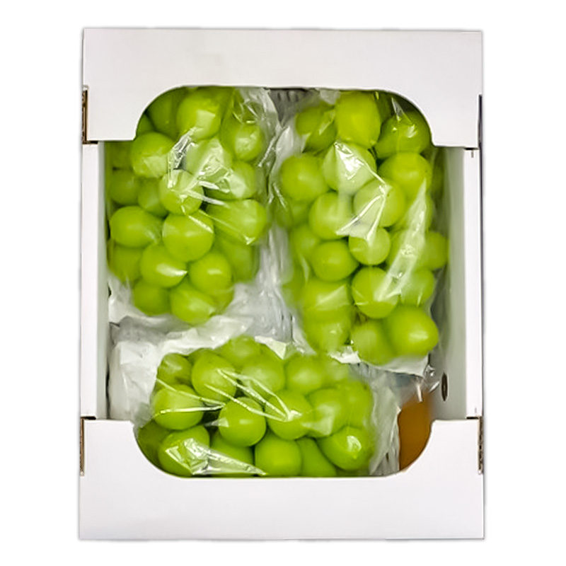 山形産 シャインマスカット 約1.4kg (2～3房) 秀品 【令和8年産先行予約】FS25-605