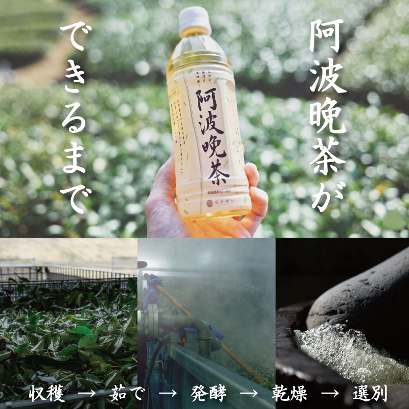 阿波晩茶 ペットボトル 12本 （1本500ml入り） お茶 晩茶 番茶 茶葉 本格 阿波晩茶 100％ 健康茶 発酵 伝統 お土産 阿波 徳島 阿南市 はなぜん