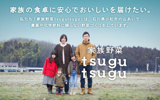 さつまいも おやつ 野菜【農薬・化学肥料不使用】ねっとり甘〜い おいもさん（紅はるか） ２.５kg