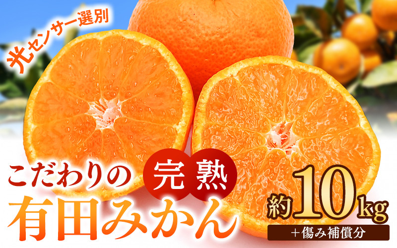 
            早期先行予約！ 【配送時期が選べる】 こだわりの有田みかん 約10kg＋250g(傷み補償分) 【ご家庭用】【11月･12月･1月から選択可】 光センサー選別品 農家直送品 ※北海道・沖縄・離島配送不可 / みかん 有田みかん 温州みかん 柑橘 果物 くだもの フルーツ 有田 和歌山 和歌山県産 産地直送 【nuk101E-cho】 
          