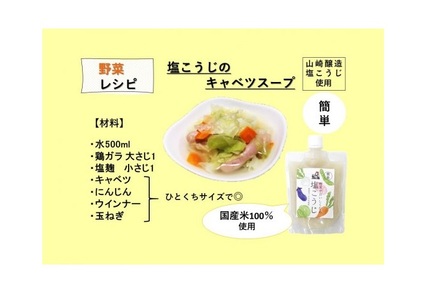 10P171 野菜がおいしくなる塩こうじ250g×6個【簡単シリーズ】 塩こうじ 国産米100％使用 山崎醸造 新潟 小千谷