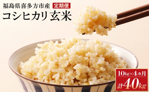 【令和8年産先行予約！】特別栽培米コシヒカリ　玄米　10kg(5kg×2袋)　4か月定期便(計40kg)　[米・食味分析鑑定コンクール国際大会 特別優秀賞受賞]　【07208-0995】