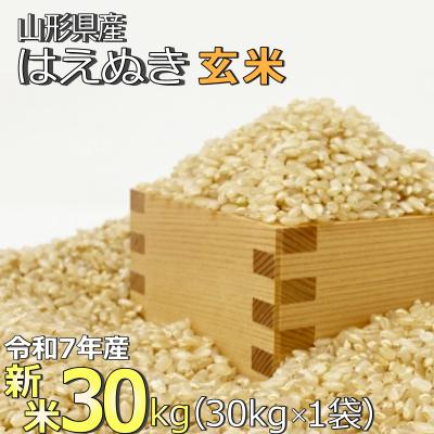 ふるさと納税 長井市 【令和7年産新米】【玄米】山形県産「はえぬき」30kg_A190(R7)
