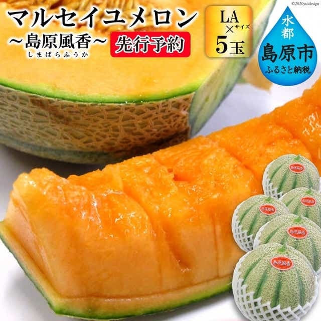 BE160【令和8年度出荷分】マルセイユメロン～島原風香～（LA×5玉） [農事組合法人　『舞岳の里』生産組合 長崎県 島原市 BE160] メロン 赤肉 果物 くだもの フルーツ 産地直送