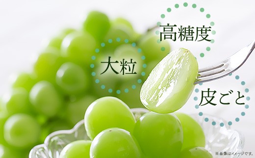 ※画像はイメージです。