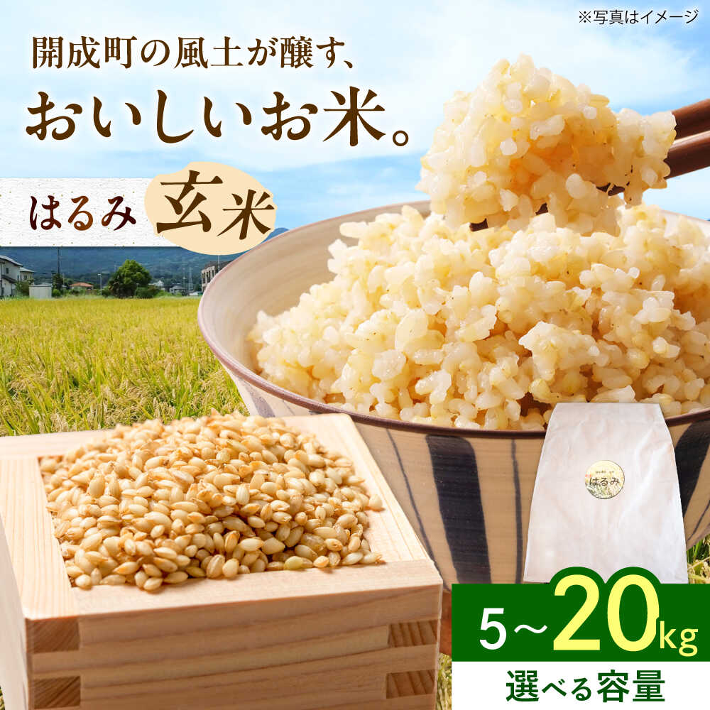 【ふるさと納税】【選べる容量!!】 【令和7年産（玄米）】 はるみ 5kg 10kg 20kg 【Junkan農園】 米 お米 玄米 はるみ 令和7年産[BDBF003]
