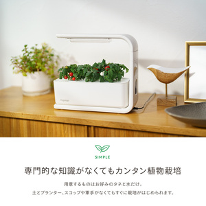 IZUMI　水耕栽培キット Hugvege　SA-H133A-W　（本体、培地スポンジ、液肥、ランダムタネ2種類）| 植物 野菜 育成 園芸 家庭菜園 長野県 松本市 ふるさと納税